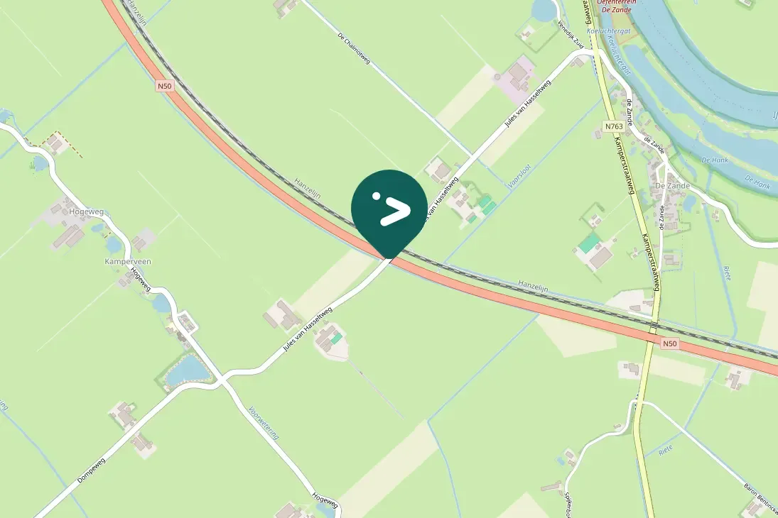 Gespotte Knobbelzwaan