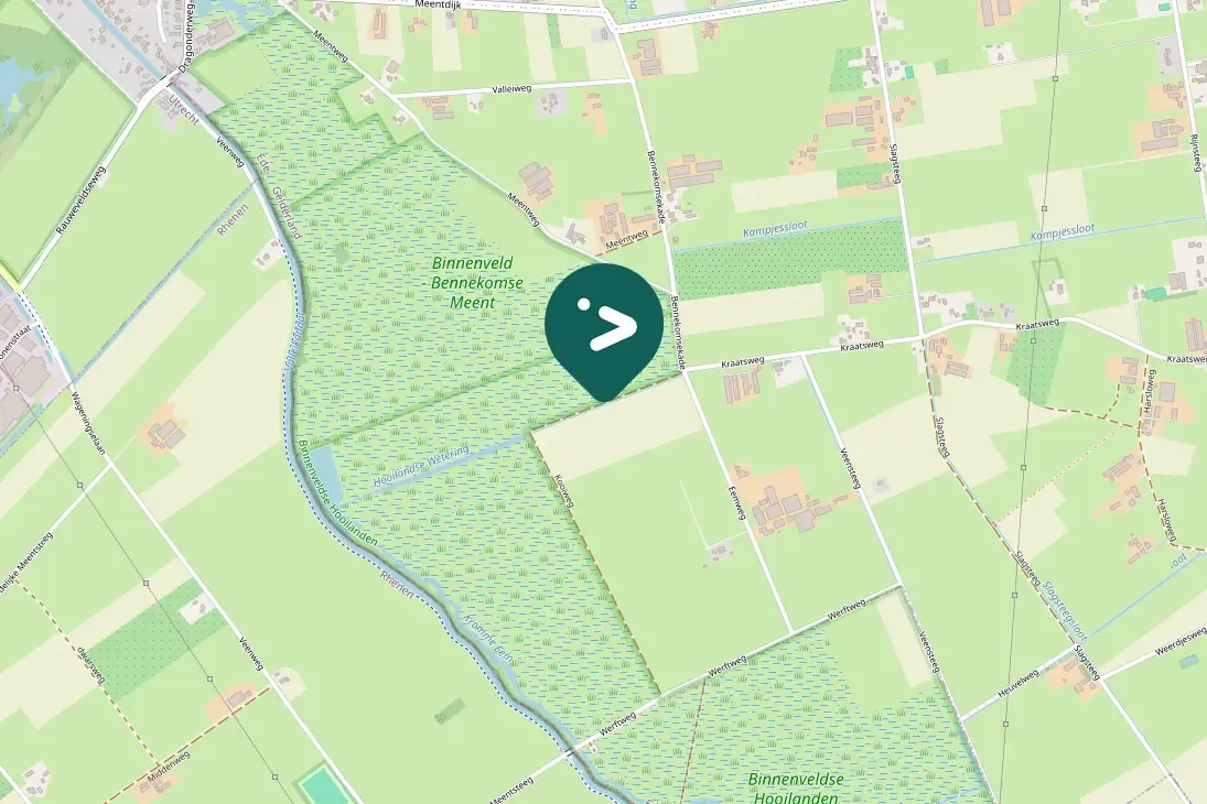 Spotted Black-tailed Godwit