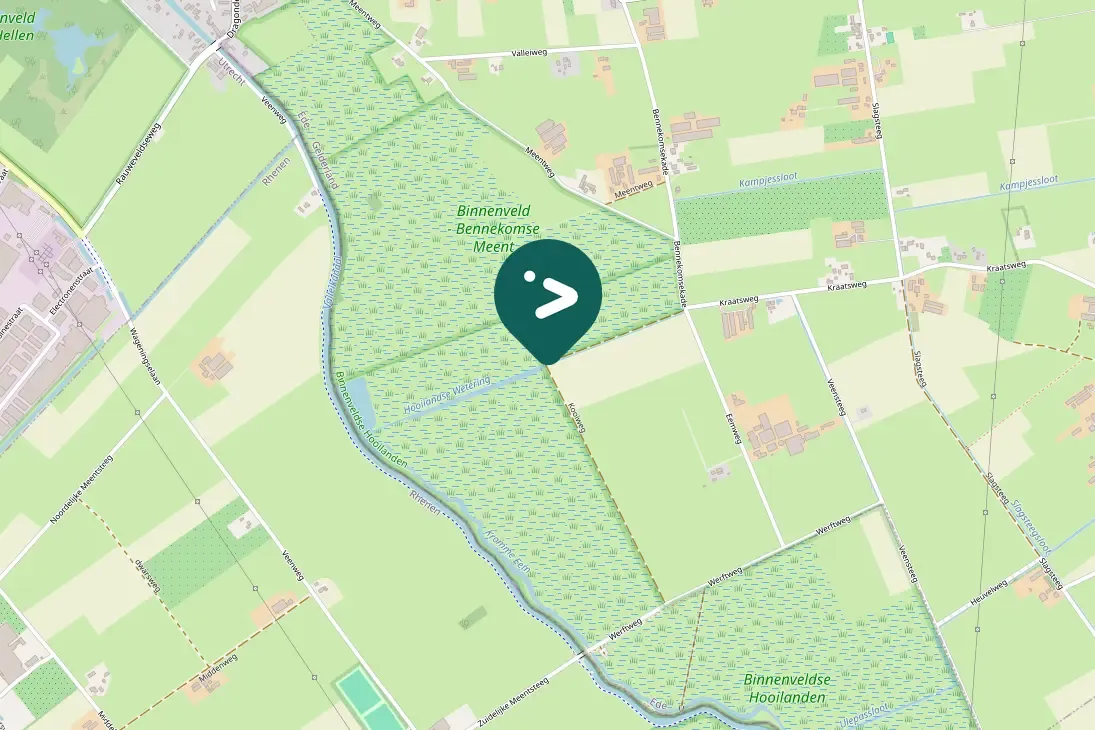 Spotted Common Redshank