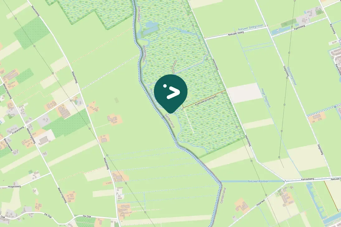 Gespotte Groene specht