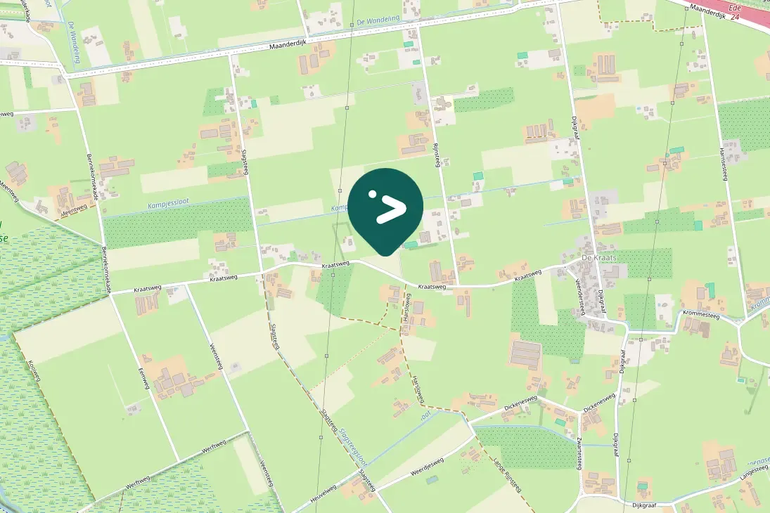 Spotted Common Buzzard