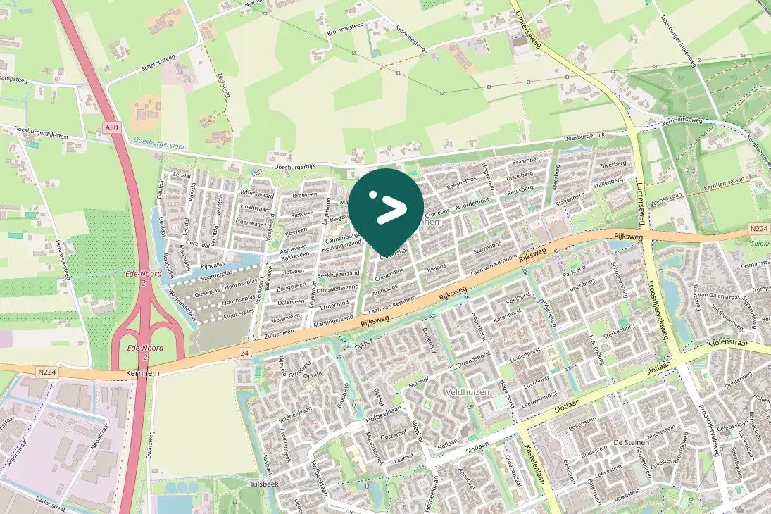 Spotted Eurasian Magpie