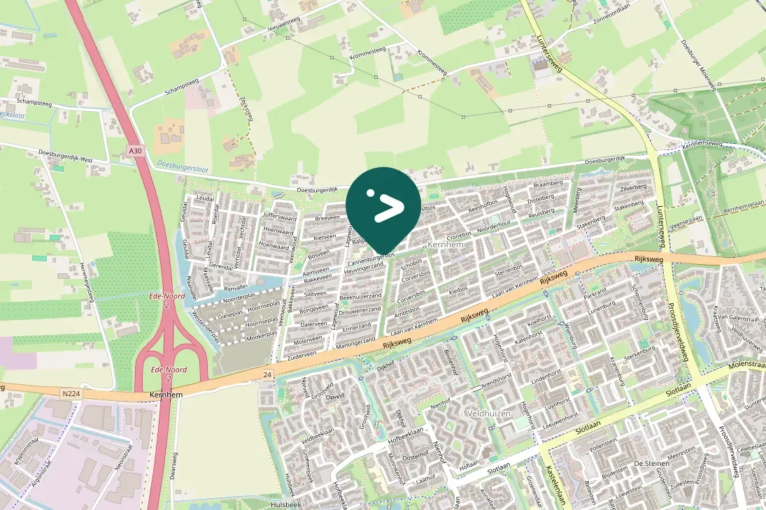 Spotted Eurasian Coot