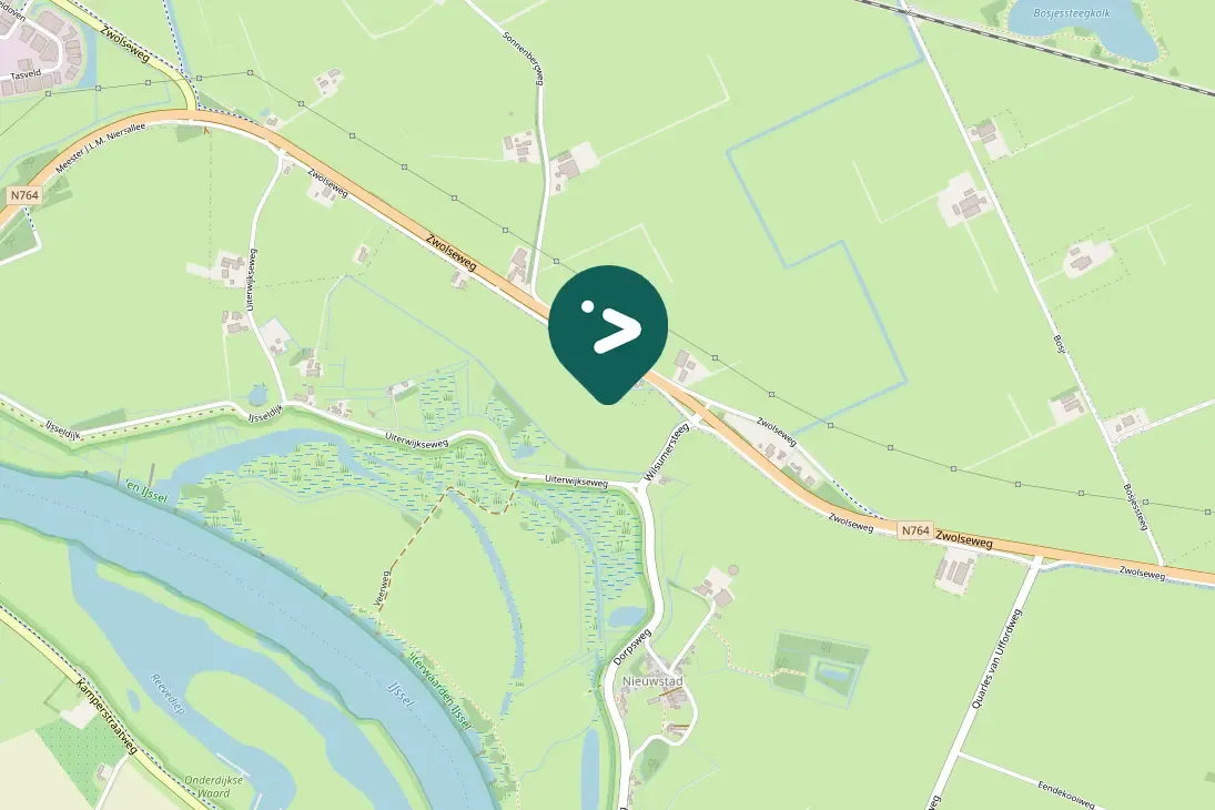 Gespotte Knobbelzwaan