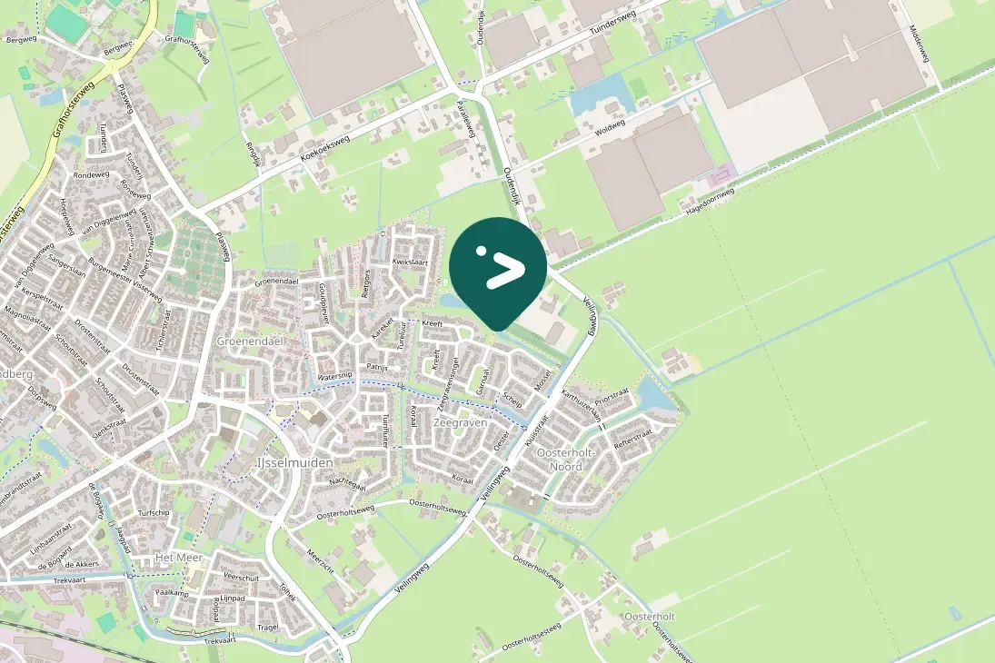 Spotted Great Cormorant