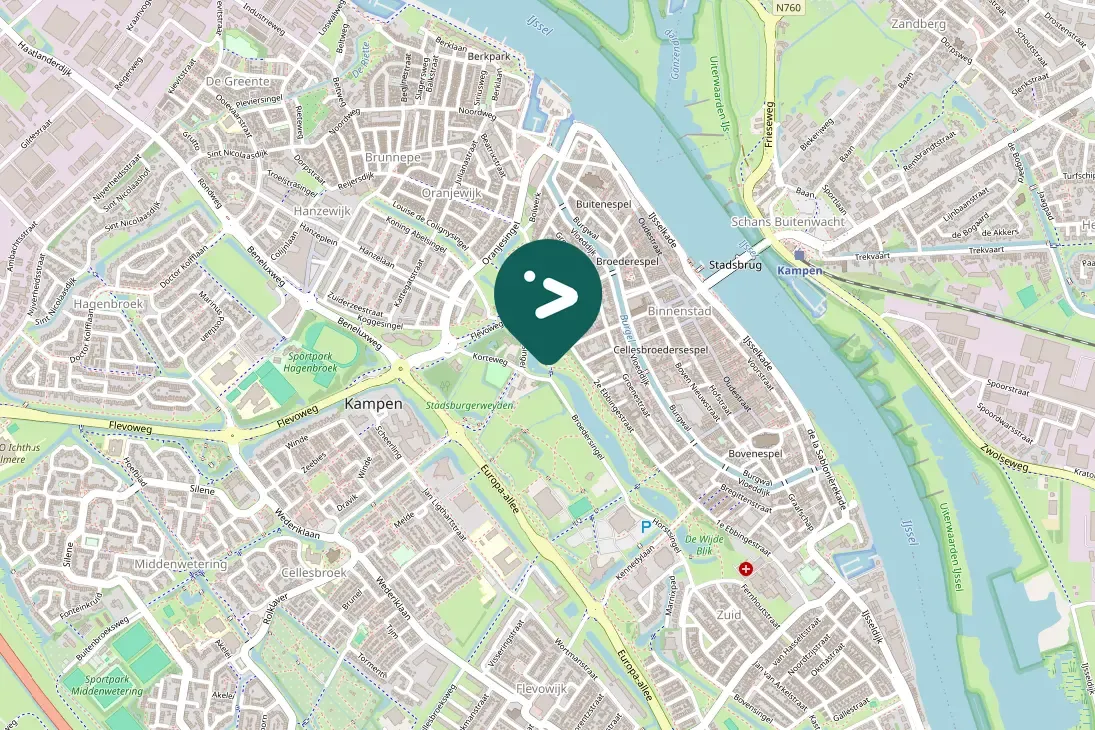 Gespotte Grote Canadese gans