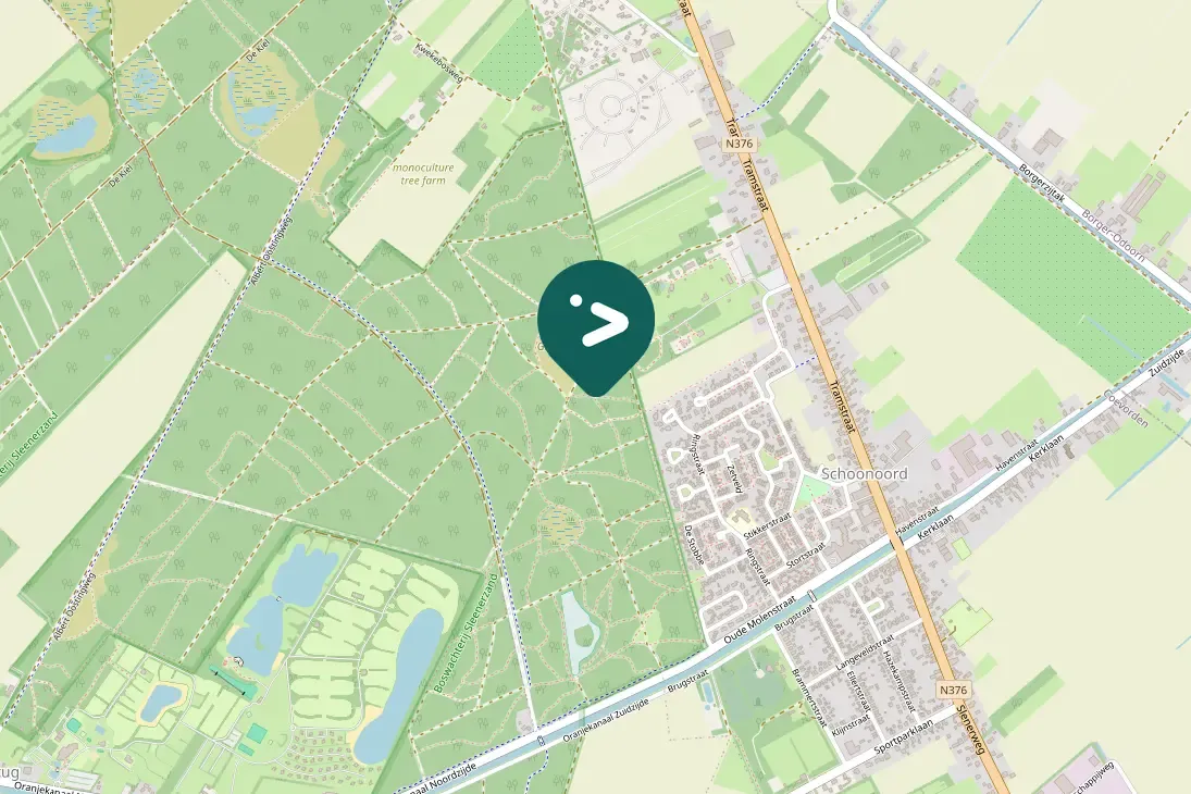 Gespotte Winterkoning