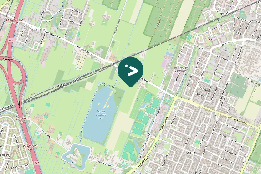 Gespotte Zwarte kraai