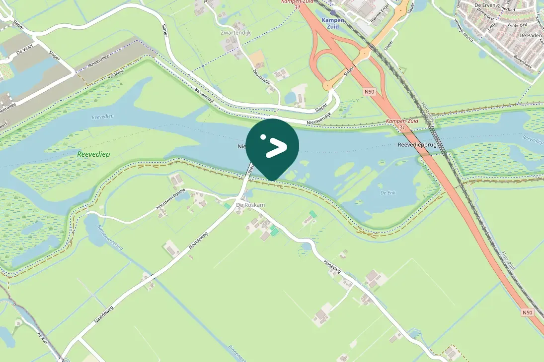 Gespotte Grauwe gans