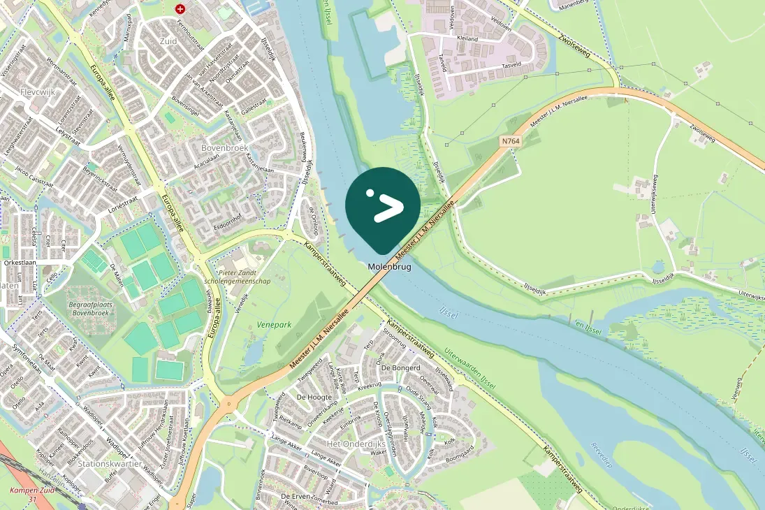 Gespotte Grauwe gans