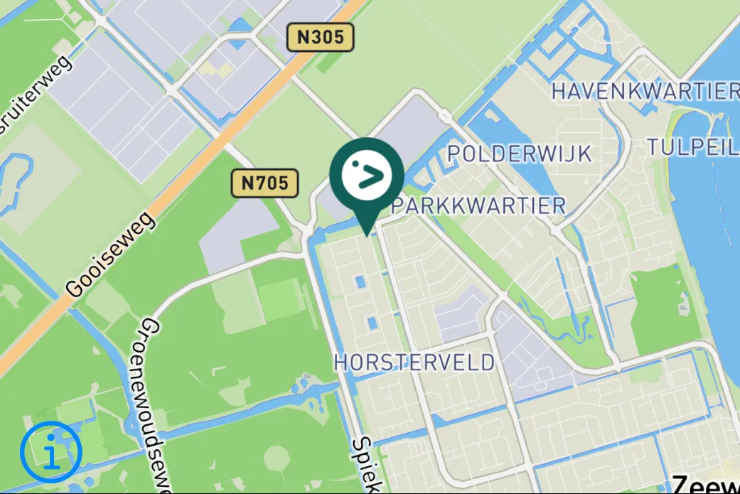 Spotted Long-tailed Tit