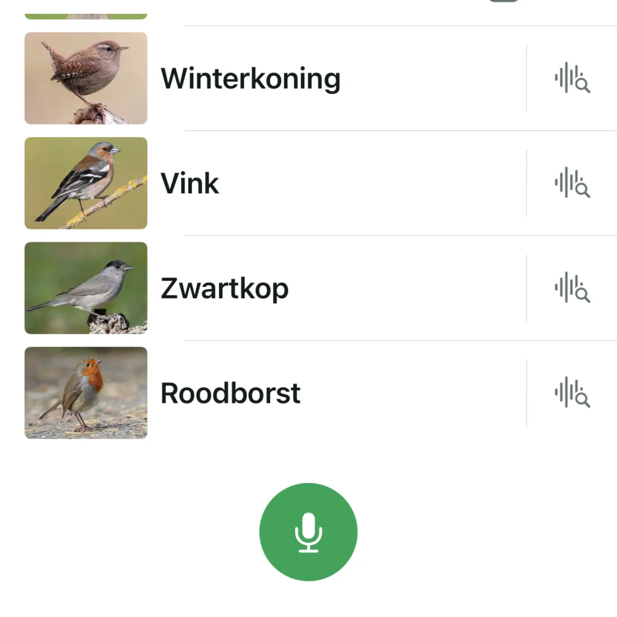 Waargenomen Winterkoning