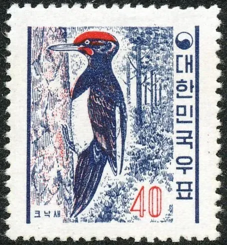 File:Dryocopus javensis richardsi 대한민국 우표.jpg