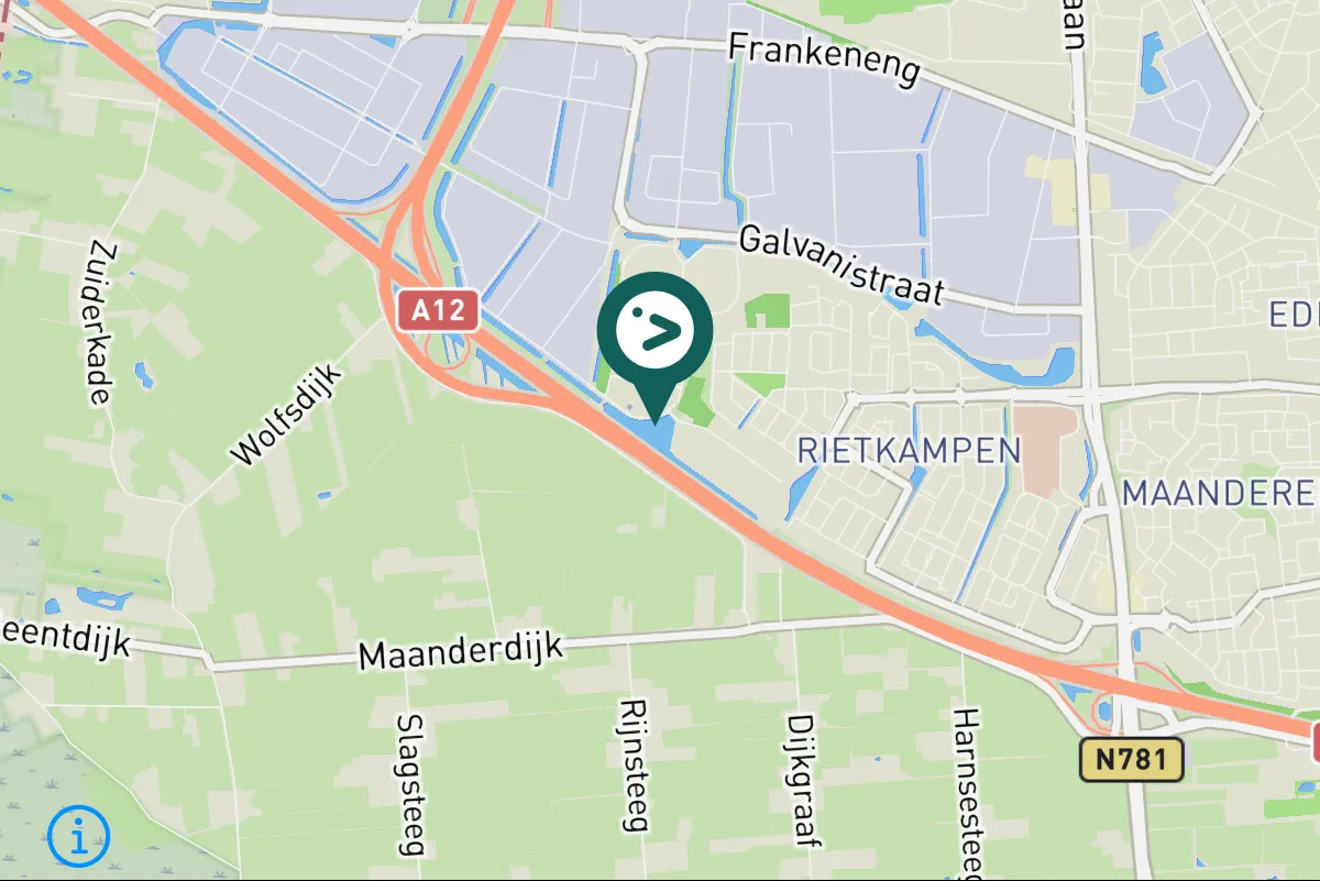 Spotted Little Grebe