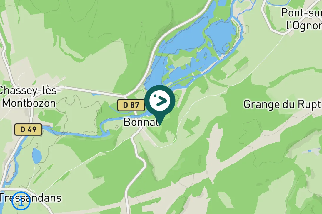 Spotted European Serin