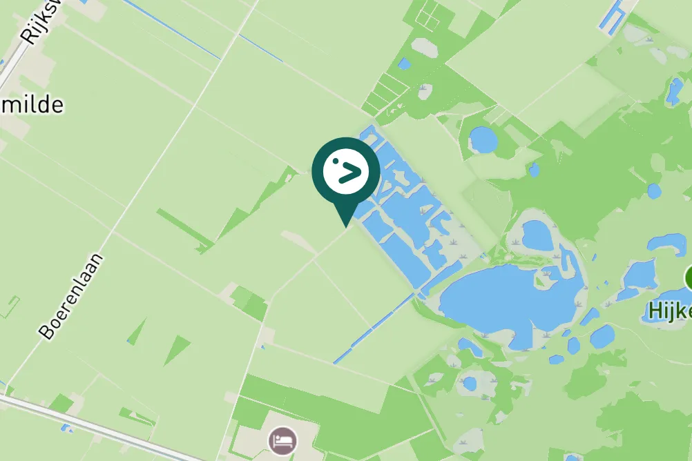 Spotted White-tailed Eagle