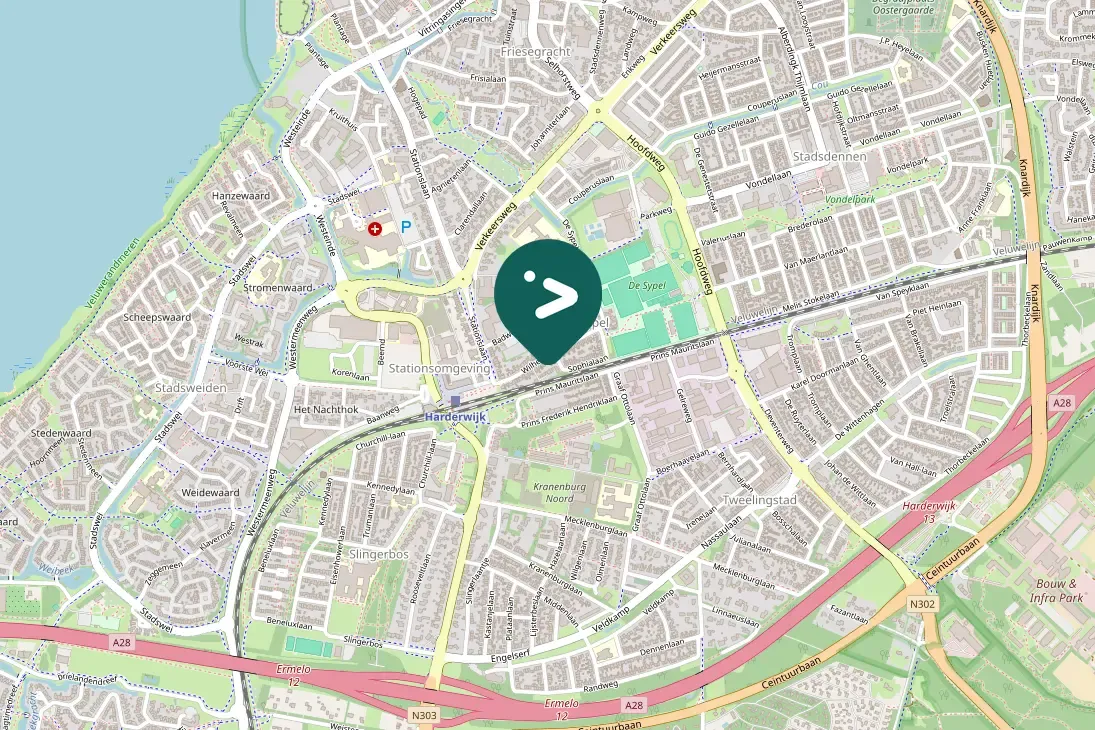 Spotted European Robin