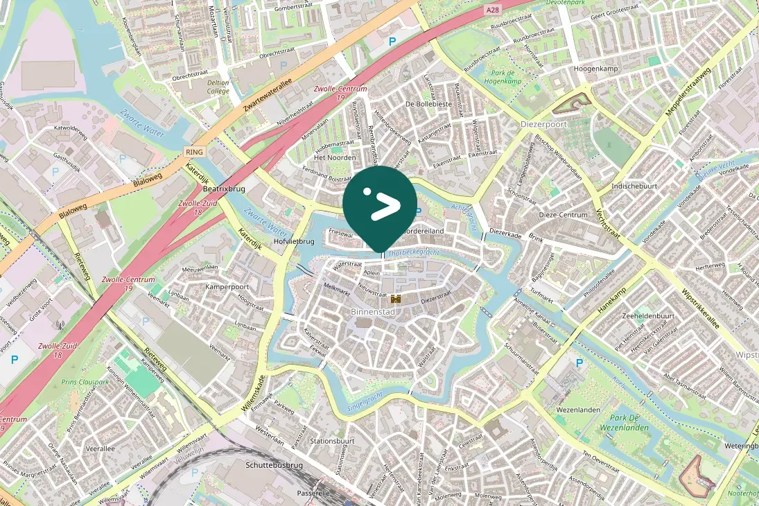 Spotted Great Cormorant