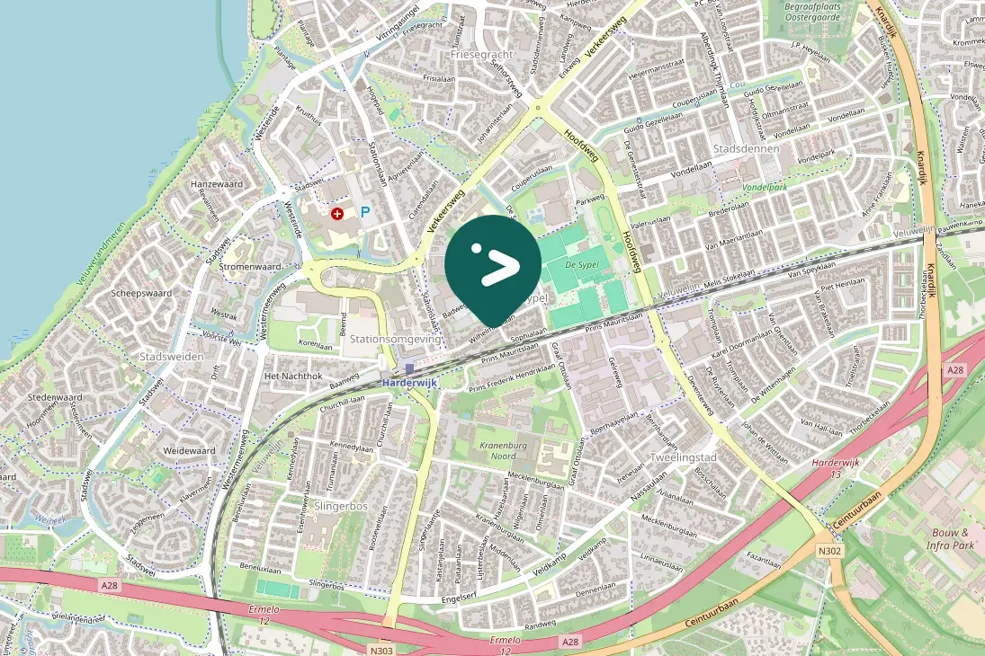 Spotted Eurasian Magpie