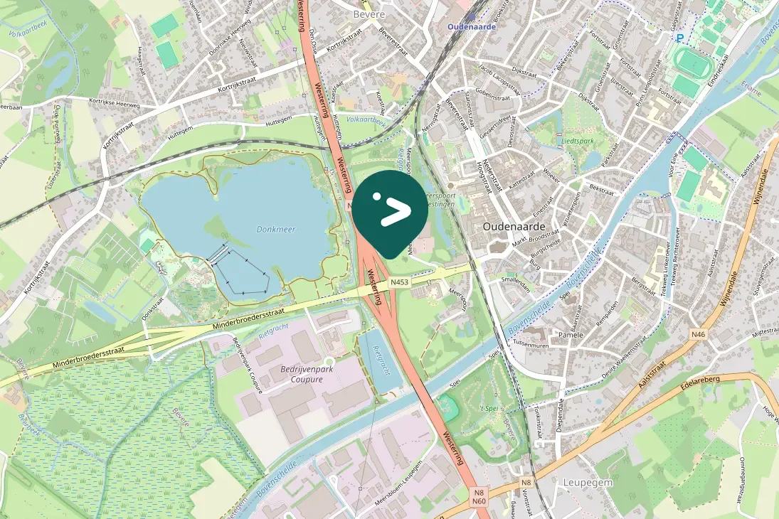 Spotted Western Cattle-Egret