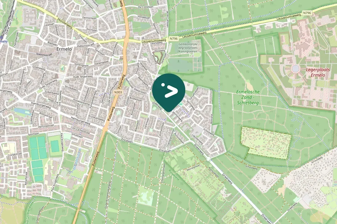 Spotted Great Spotted Woodpecker