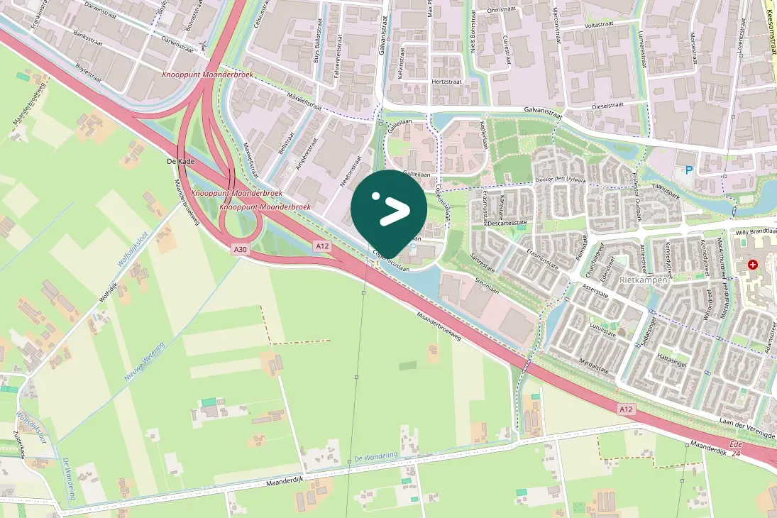 Gespotte Knobbelzwaan