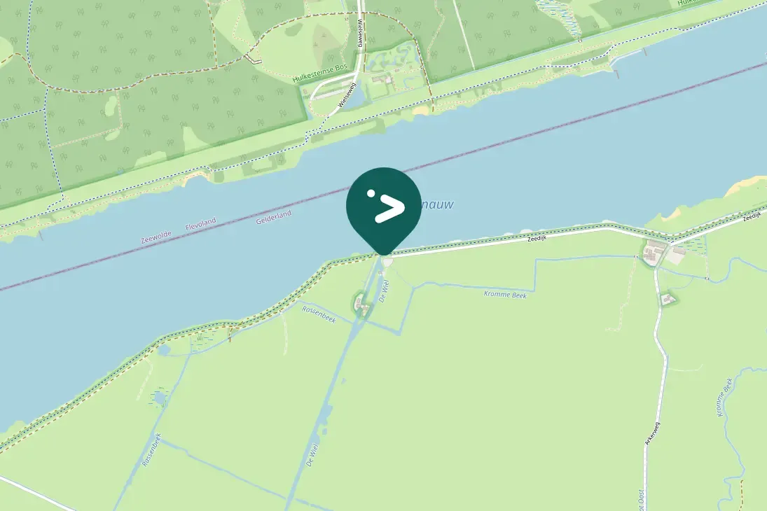 Spotted Common Merganser