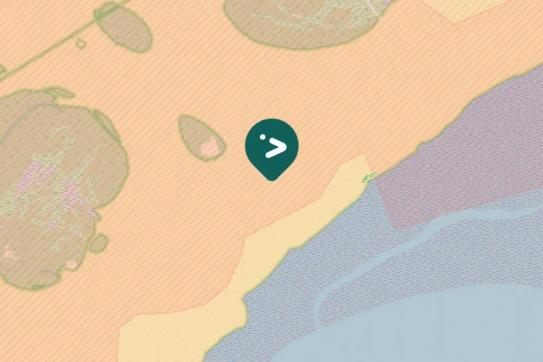 Spotted Bar-tailed Godwit