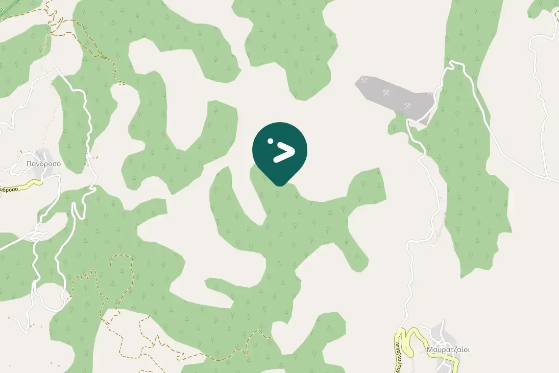 Spotted Eurasian Hoopoe