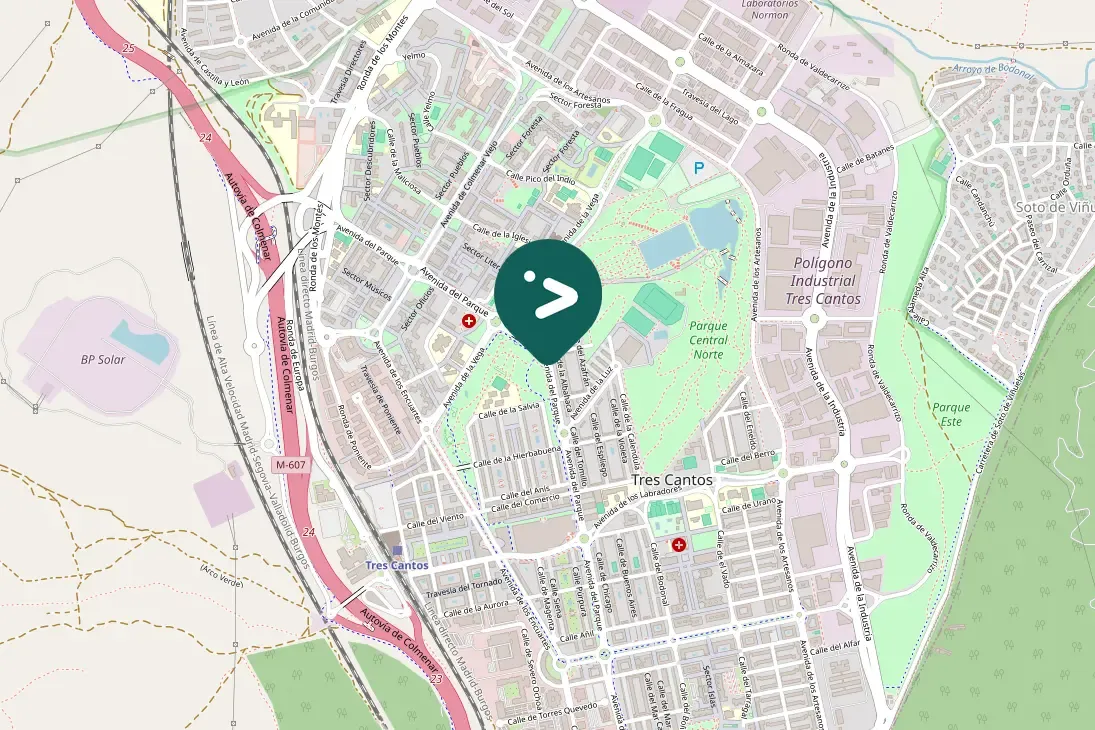 Spotted Eurasian Griffon