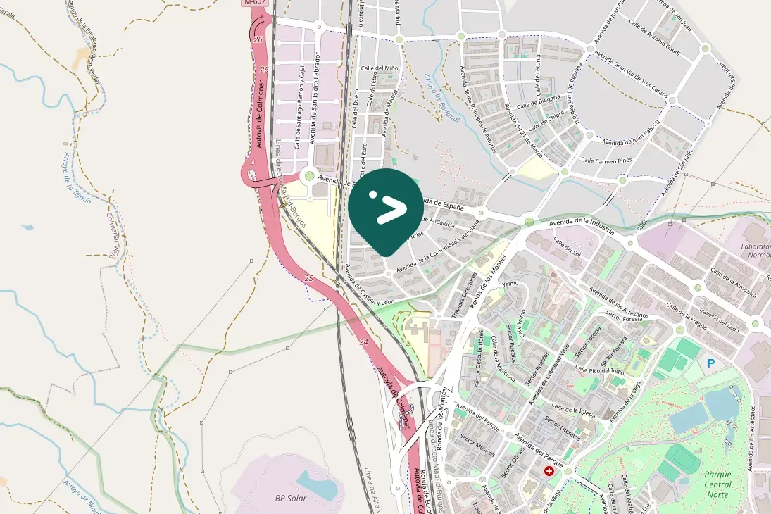 Spotted European Serin