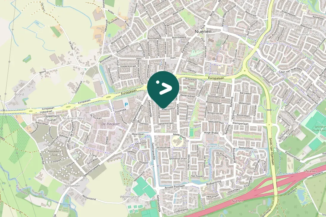 Spotted Eurasian Collared-Dove