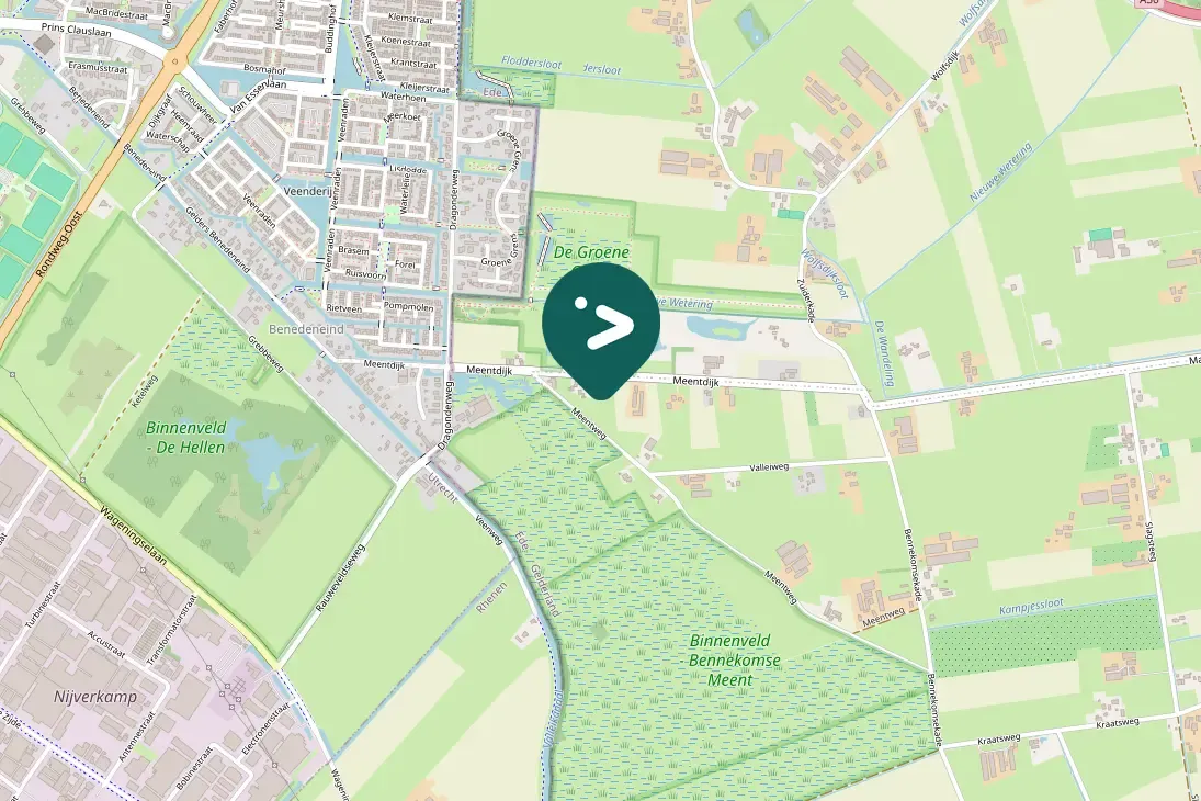 Gespotte Zilvermeeuw