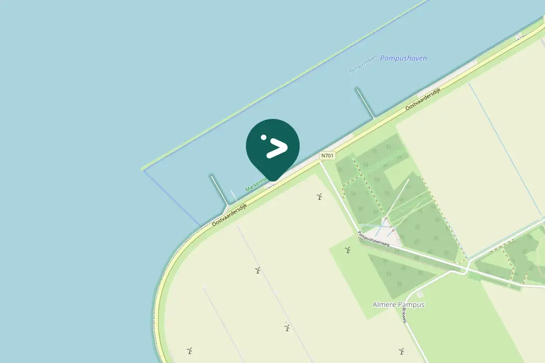 Spotted Common Pochard