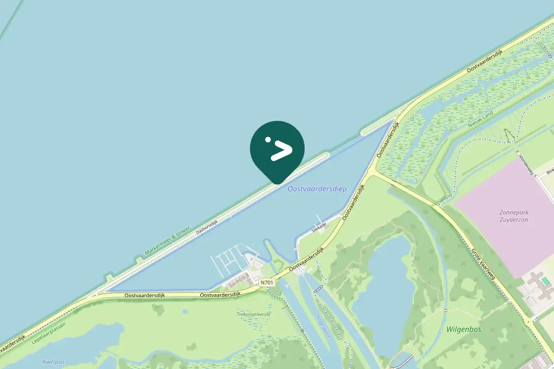 Spotted Caspian Gull