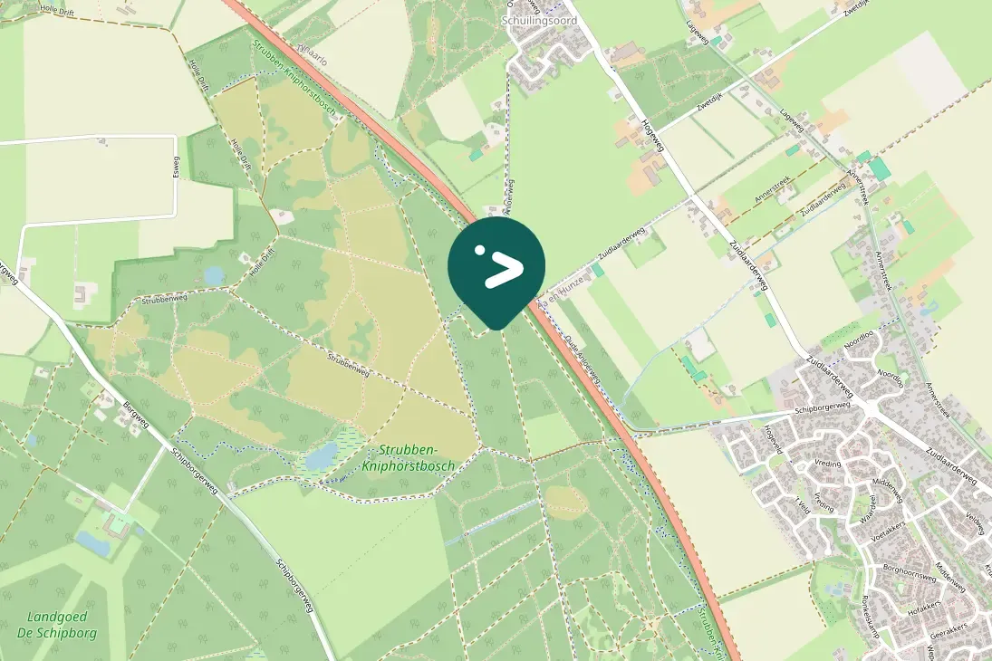 Spotted Short-toed Treecreeper