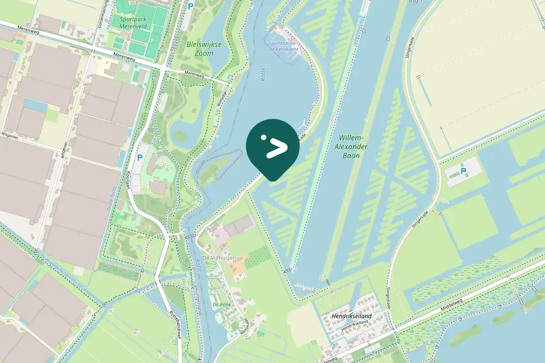 Spotted Green-winged Teal