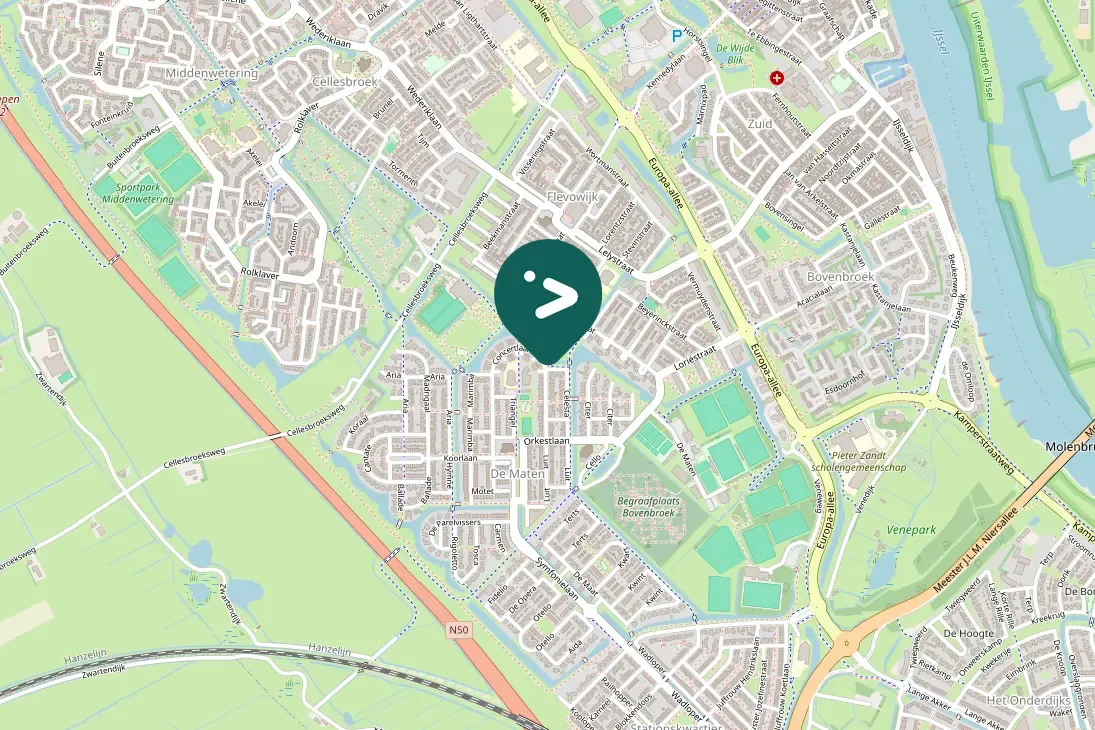 Spotted Graylag Goose