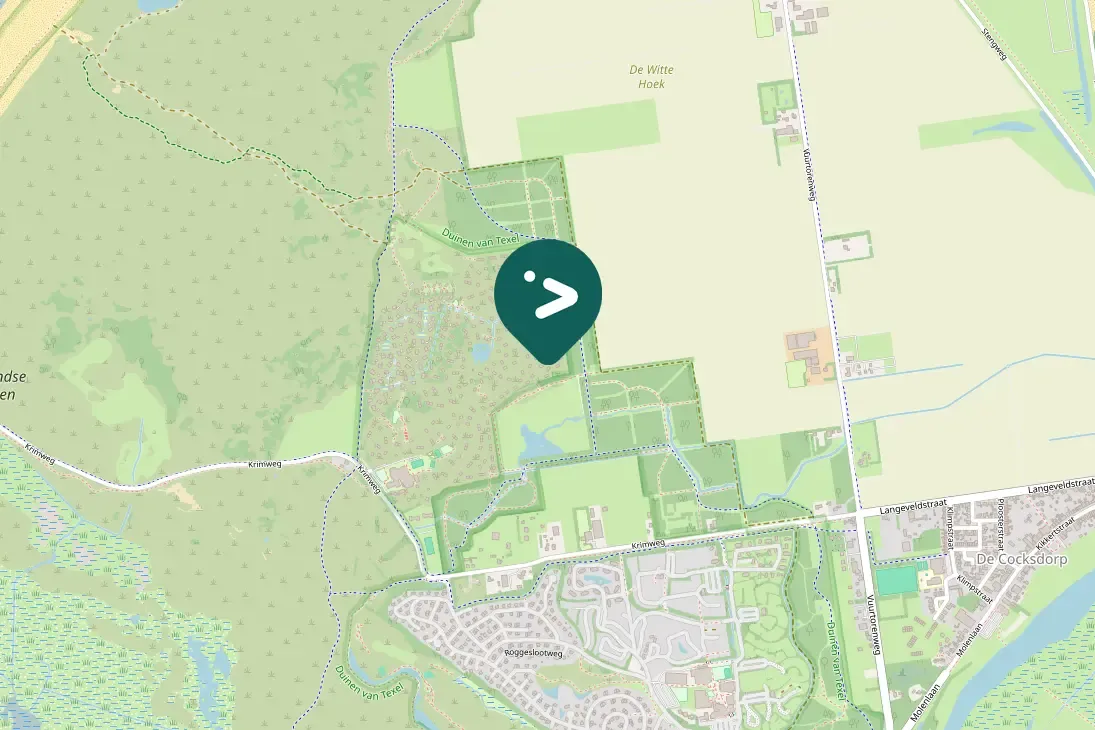 Spotted Yellow-legged Gull