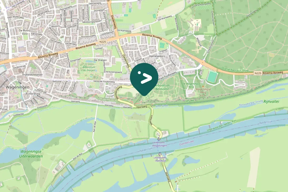 Spotted Long-tailed Tit