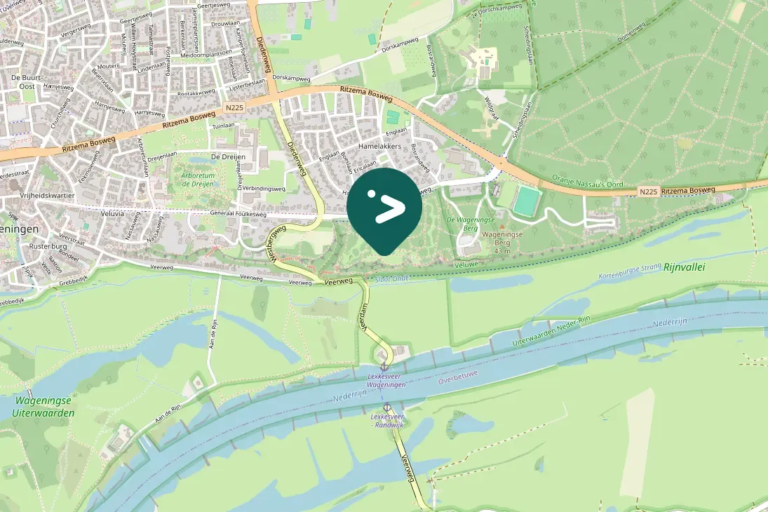 Spotted European Greenfinch