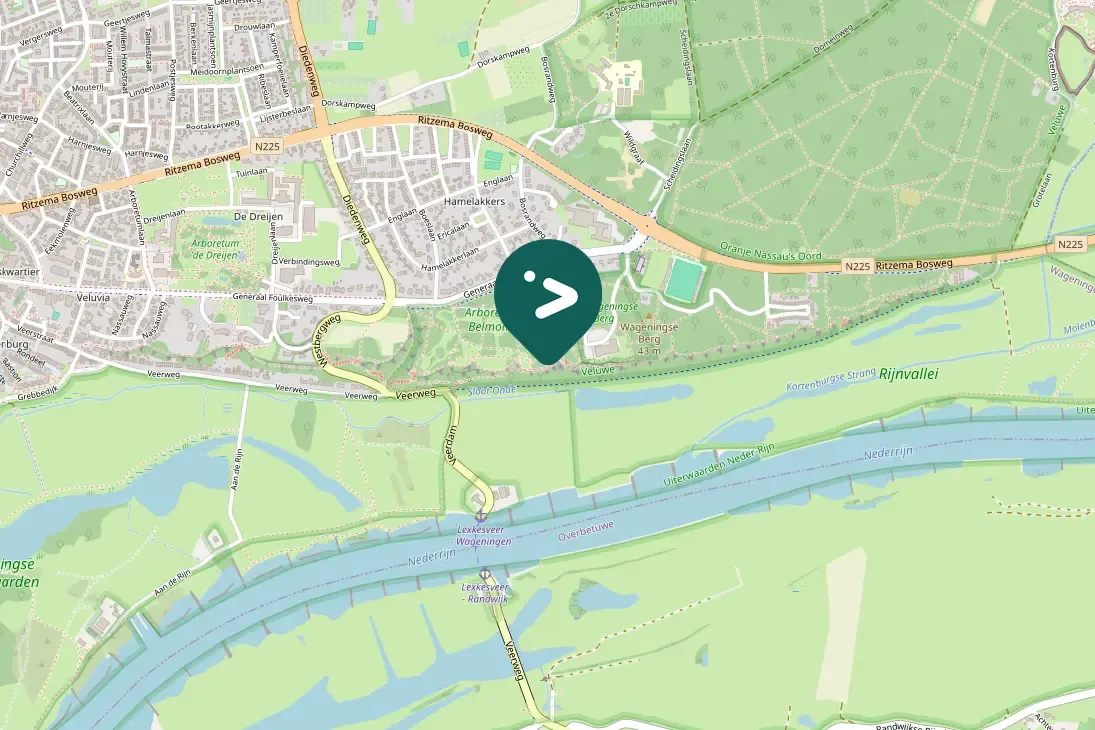 Spotted Great Spotted Woodpecker