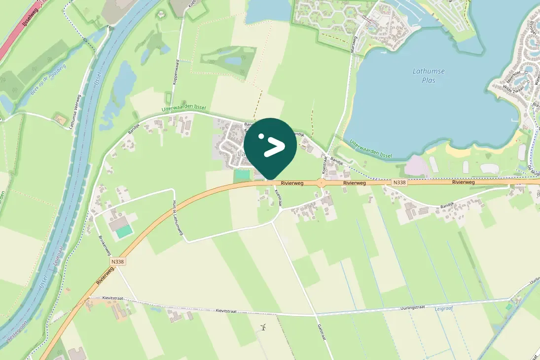 Spotted White Wagtail