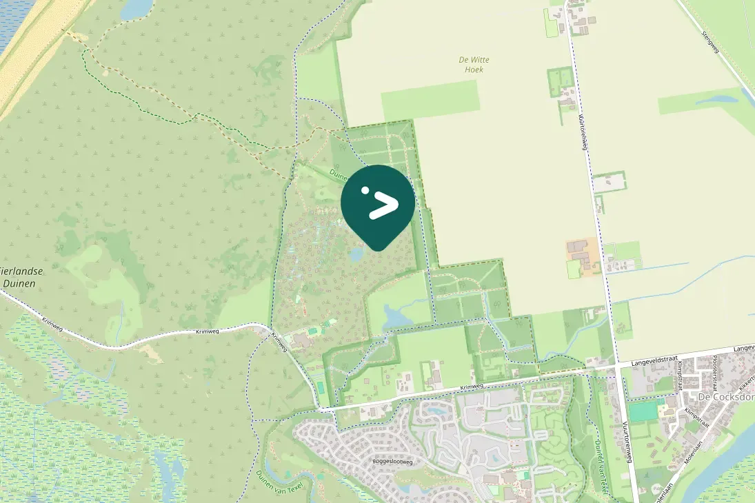 Spotted European Herring Gull