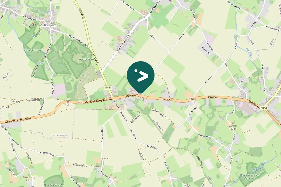 Spotted House Sparrow