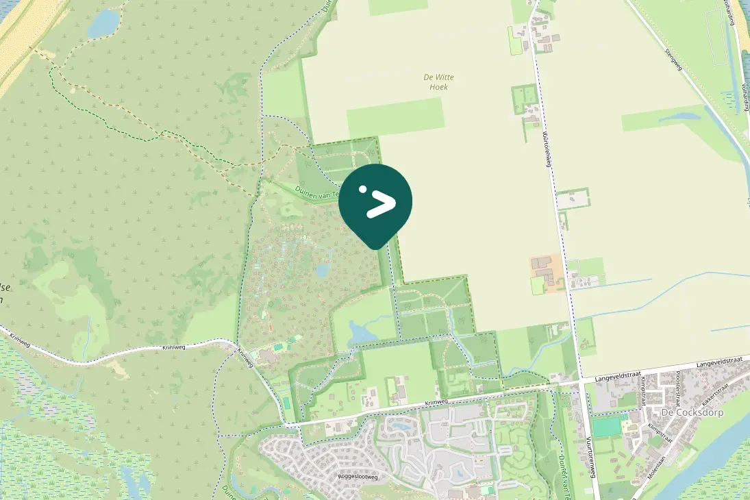 Spotted Little Egret