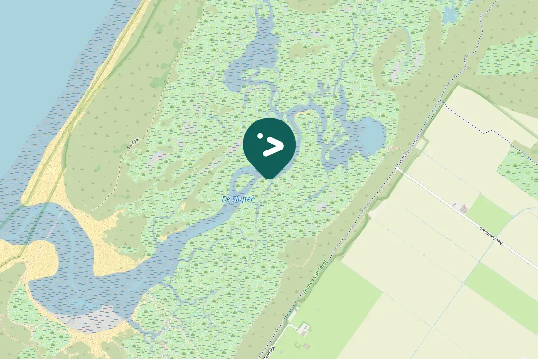 Spotted Eurasian Wigeon