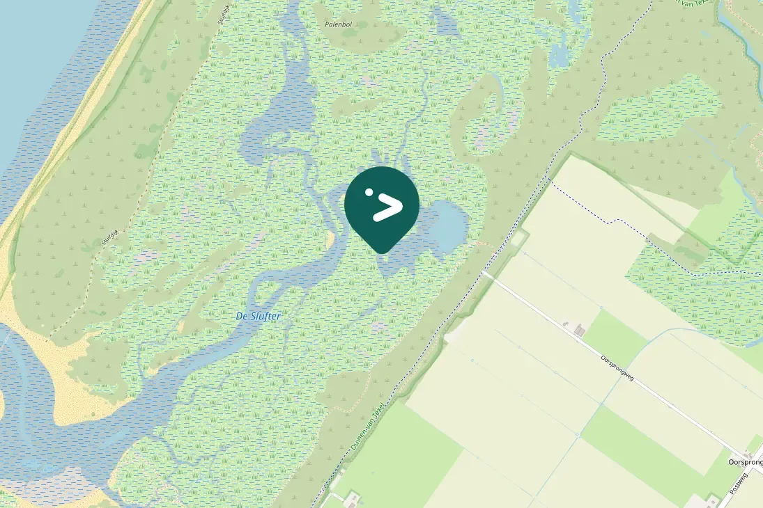 Spotted Green-winged Teal