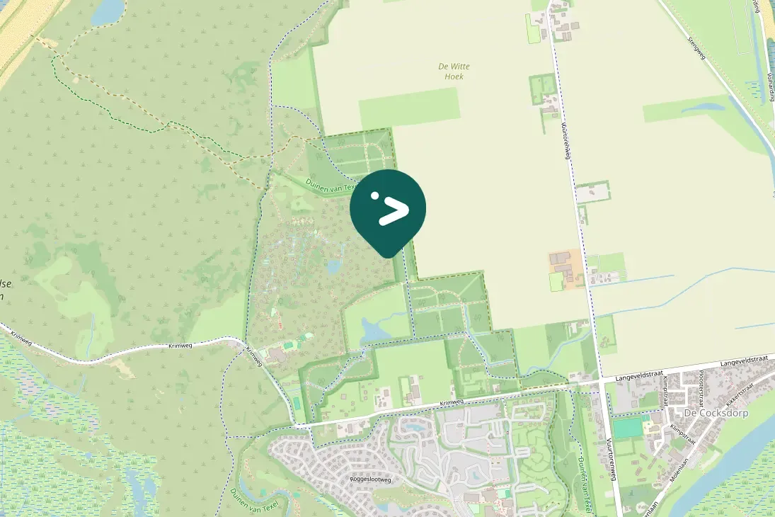 Spotted Eurasian Moorhen