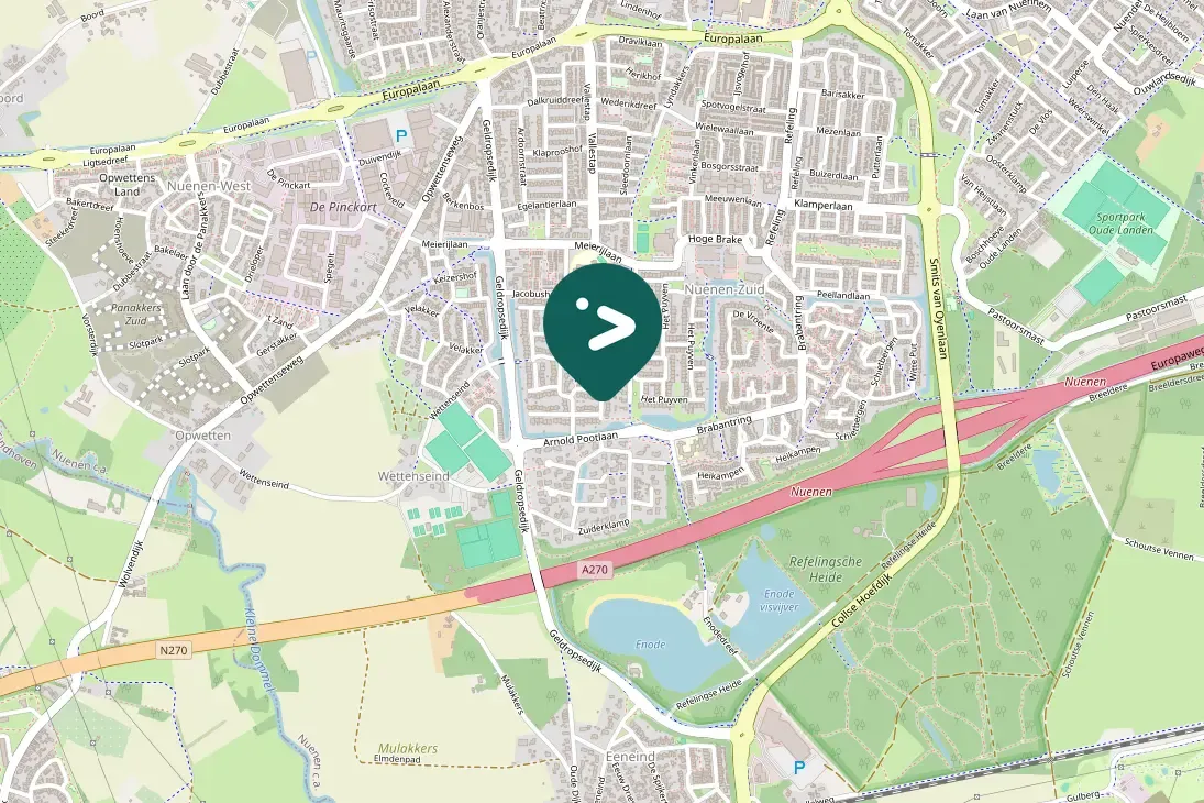 Spotted Eurasian Blackbird